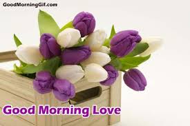 Send an amazing good morning to your girlfriend, boyfriend, wife, husband, family member, or friend. Good Morning Images With Flowers Good Morning Wishes