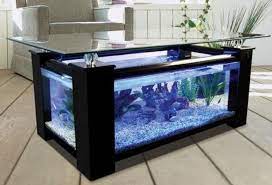 Coffee Table Fish Tank The Whoot Aquarium Coffee Table Fish Tank Coffee Table Unique Coffee Table