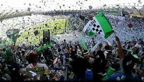 Get the latest deportes temuco news, scores, stats, standings, rumors, and more from espn. Club Deportes Temuco Facebook
