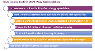 What Is Gender Mainstreaming Gender Chemicals