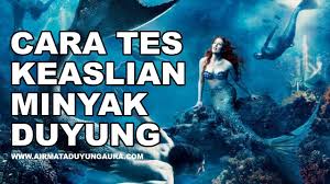 Apa saja manfaat air mata duyung ? Cara Tes Keaslian Minyak Duyung Atau Air Mata Duyung Youtube