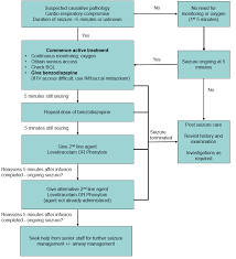 Clinical Practice Guidelines Afebrile Seizures