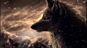 Ultra Hd Lone Wolf Wallpaper Hd 1802x1283 wolves images the lone wolf hd wallpaper and background photos. ultra hd lone wolf wallpaper hd