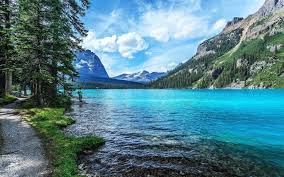 A collection of the top 35 4k laptop wallpapers and backgrounds available for download for free. Download Full Screen Wallpaper For Laptop Gallery Beautiful Screen Wallpaper New 1600x1000 Wallpaper Teahub Io