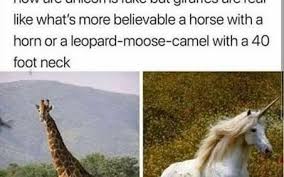Llamas are members of the camelidae or family that includes the camels and their relatives. Think About It Meme Chronicles