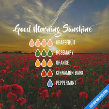 Good Morning Sunshine Essential Oil Diffuser Blend Diffuser Blends Essential Oil Mixes Essential Oils