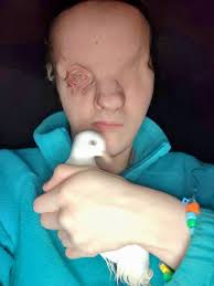 Florida pigeon rescue resources and adoption