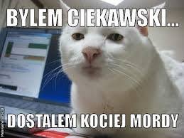 images?q=tbn:ANd9GcT5l39RLFXvTlq_FukhsOD