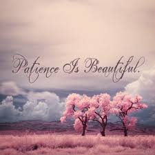 Patience Has It S Rewards In Sya Allah Islamic Quotes Beautiful Islamic Quotes Islam