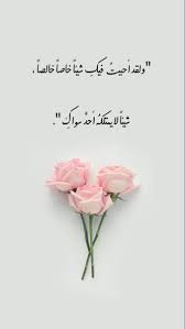 حب ستوري صور خلفيات عبارات ورد مقتطفات