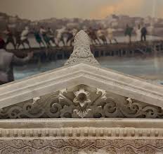 Image result for Sarcophyte piriei