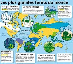 Epingle Par Ecole A La Maison Ressource Sur Mon Quotidien Culture G Histoire Universelle Climat Geographie