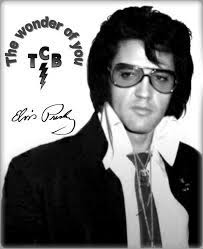 Elvis 70s Elvis Presley Elvis Elvis Art