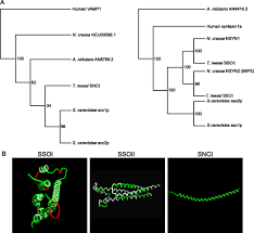 First, mark spots on the wall and/or ceiling where you'll should the alarm ever go off, leave the house immediately and call 911 once you're outside and in a carbon monoxide detector removal. Spatially Segregated Snare Protein Interactions In Living Fungal Cells Journal Of Biological Chemistry