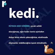 ruyada kedi gormek video ruya kedi anilar
