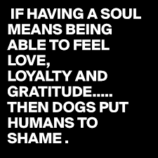If Having A Soul Means Being Able To Feel Love Loyalty And Gratitude Then Dogs Put Humans To Shame Post By Juneocallagh On Boldomatic