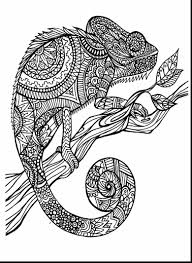 Choose any free printable coloring page among hundreds of cute farm and wild animals, rainforest animals, sea and ocean animals, jungle. Animal Coloring Pages Coloring Coloring Pages Novocom Top