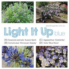 We did not find results for: Light It Up Blue Blue Autumn Flowers About The Garden Magazine
