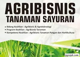Agribisnis tanaman buah kelas xii ki dan kd smk 2013 edisi rev 2016. Download Rpp Mata Pelajaran Agribisnis Tanaman Sayuran Smk Kelas Xi Xii Kurikulum 2013 Revisi 2017 2018 Semester Ganjil Dan Genap Rpp 1 Lembar Download Rpp Smk Kurikulum 2013 Revisi 2017 2018 2019 2020 2021 1 Lembar Daring