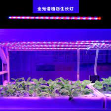Maybe you would like to learn more about one of these? China Full Spectrum Led Grow Lighting Strip For Hydroponic Plants 220v Ip65 China Led Grow Light Full Spectrum Grow Light