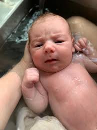 Wild Garden of Childhood Nursery