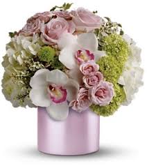 Flowers for my love song. Love Song Maple On Florist