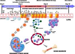 Maybe you would like to learn more about one of these? Relationship Between The Incubation Period Of Influenza Open I