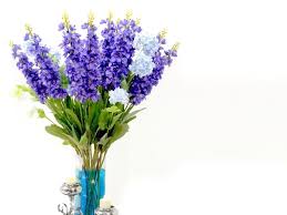 They beautify indoor windows with their stunning mixes of colored leaves. Seven Best Spring Indoor Plants For Beginners
