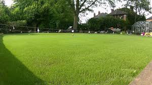 You most certainly can apply too much milorganic! When To Use Milorganite On Your Lawn For Best Results Bovees Where The Growing Begins