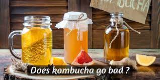 Does Kombucha Go Bad 3 Signs Your Fizzy Tea Expired