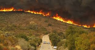 Wildfires can burn in forests, grasslands, savannas, and other ecosystems, and have been doing so for hundreds of millions of years. Burning Injustice Why The California Wildfires Are A Class Crisis Opendemocracy