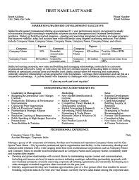 Business Development Executive Resume Template Premium Resume Samples Example