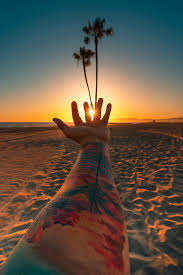 This picture was taken near by hollywood and beverly hills area. Hd Wallpaper Jeff Kepler Beach Sunset Tattoo Palm Trees Sand Flares Wallpaper Flare