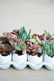 Using wooden alphabet letters spelling whatever sentiment you choose, simply insert your favorite cuttings in sphagnum moss planting medium, and let them take root. 15 Creative Succulent Arrangements Diy Ideas To Display Succulents