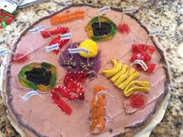 You can make a model cell with things from around your house, or you can buy a few simple items to create a fun, educational project. Animal Cell Model Edible 5th Grade Edible Cell Edible Cell Project Cells Project
