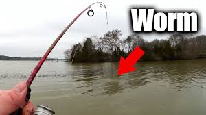 Rigging live bait correctly is an art, not a science. Fishing With Live Worms Easy Ways To Find Fish From The Bank Youtube