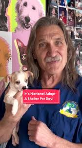 Dr Jeff Vet Huskey Bought Oine