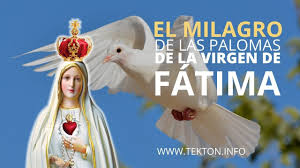 En el marco de la primera aparición de la virgen a los pastores, se pedirá su intercesión. Virgen De Fatima Conoce Su Historia Y Por Que Se Celebra El 13 De Mayo La Verdad Noticias