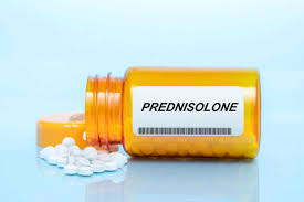 Image result for Prednisolone