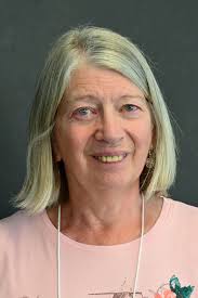 Our Board of Directors & Volunteers