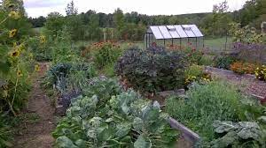 Whether you're at home or in the garden, when you need advice our videos are. How To Grow Starting A Vegetable Garden Gardening With Charlie