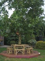 Nichts lädt sie verlockender dazu ein, gemütlich in der natur platz zu nehmen und die seele baumeln zu lassen wie eine baumbank oder eine bank um einen baum herum. Sie Konnen Auch Einen Tisch Im Garten Um Einen Baum Bauen Sieht Sehr Gemutlich Aus Foto Veroffentlicht Von Gartenier Auf Spaaz De