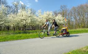 Tandemverleih Giant Mietstation Dresden