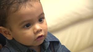 Video: Stolen pet leads family to adopt child