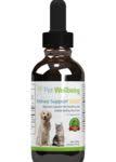 Bladder Stones Veterinary Tech Vet Medicine Veterinary Medicine
