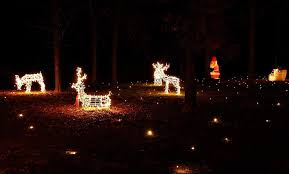 Lawn Lights Illuminated Outdoor Decoration Led Christmas To View Further For This Item Visit The Image Link T Lawn Lights Outdoor Christmas Outdoor Decor