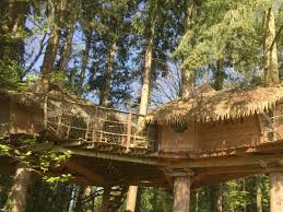 Great tree houses that prove that not only kids love tree houses. Tree Houses On Site Picture Of Les Ormes Domaine Resort Dol De Bretagne Tripadvisor