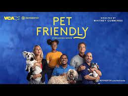 Maybe you would like to learn more about one of these? Whitney Cummings Pet Friendly Animal Rights Interview