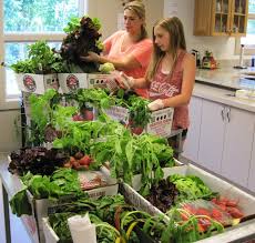 Notes From The Pantry Summer 2014