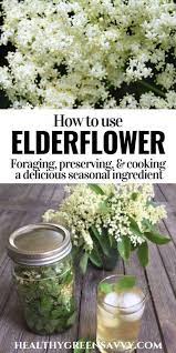 Check spelling or type a new query. What Is Elderflower Elderflower Benefits Recipes Elderflower Recipes Herbs Herbs For Health